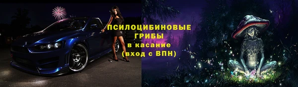 СК Инсар