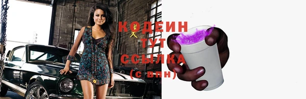 тгк Инта