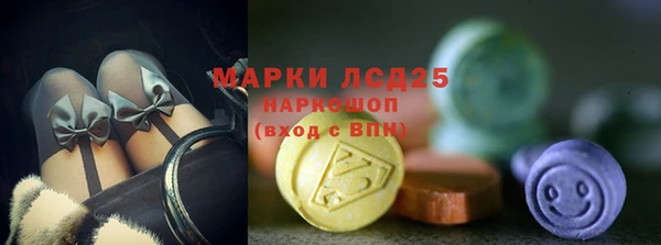 тгк Инта