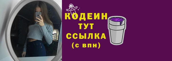 СК Инсар