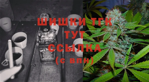 СК Инсар