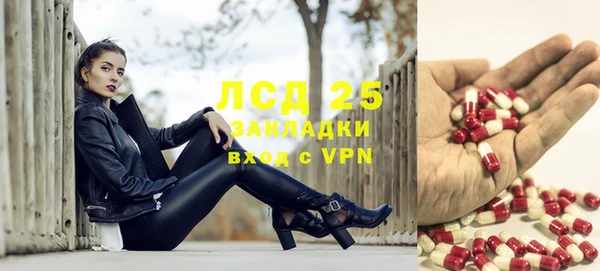 тгк Инта