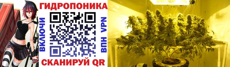 Конопля LSD WEED  Сковородино 